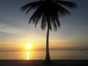 Beachfront Studio w/Amazing Sunrise & near Ferry - Image 4