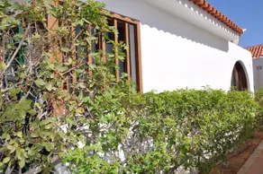Bungalow Serenity Garden - Image 3