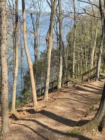 Direct Lake Access/Dock/Tennis-Pickleball/Bball - Image 5