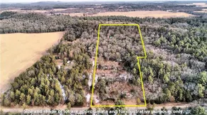 Private Log Cabin in 10 Acre Forest - Image 4