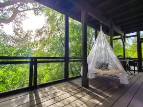 Tree House Getaway in the Hollywood Hills - Image 2