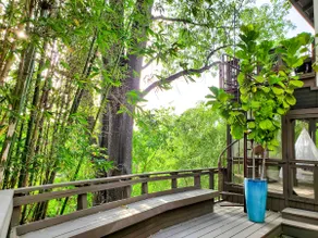 Tree House Getaway in the Hollywood Hills - Image 3