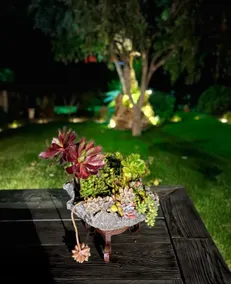 Eagles Rest, magical, relaxing resort style living - Image 3