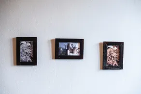 Ditmar Second Apartment - Image 4