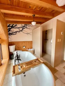 12 Private acres, 15min to wineries & Keuka Lake - Image 5