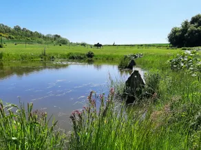 Vacation home near Mols Bjerge National Park - Image 5