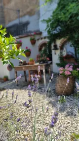 Giardino Dei Limoni Apartment - Image 3