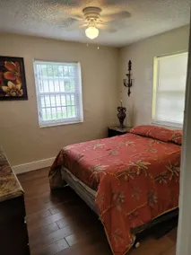 Green & Gold cottage - Image 5