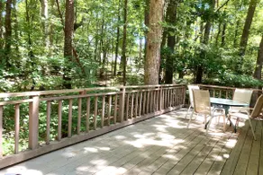 Acre Forest Retreat | 1 GB WiFi + Office near RTP - Image 2