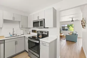 Lovely 1-bedroom condo in Biltmore  - Image 3