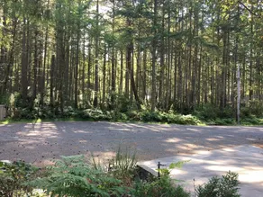 Near lake, with fire pit, and rope swing - Image 2