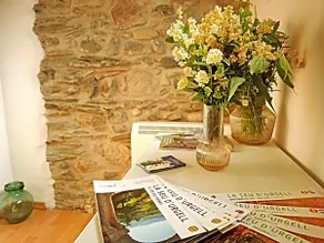 Noa's Apartment. In the heart of the Pyrenees. - Image 4