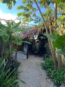 Casa Tortuga, by Jungla Bacalar 5th avenue near the lake. - Image 2
