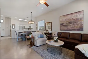 Starr Pass Oasis - 3Bed2bath downtown, UofA, parks - Image 3