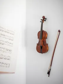 Life is Music - Casa Vostra - Gaillard proche tram - Image 4