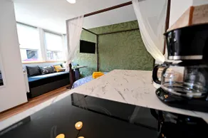FLH - Safari Apartment - Image 3