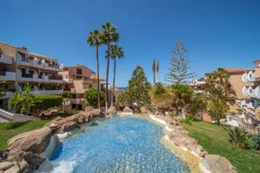 Ocean view & tropical garden resident - Image 2