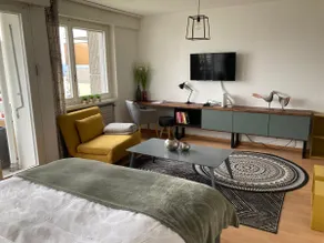 Superb 1.5 room accommodation in Fribourg - Image 4