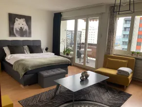 Superb 1.5 room accommodation in Fribourg - Image 2