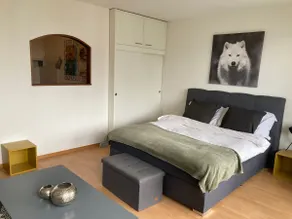 Superb 1.5 room accommodation in Fribourg - Image 3