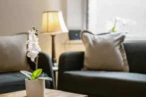 Huge serviced Apartment with FREE PARKING - Image 5