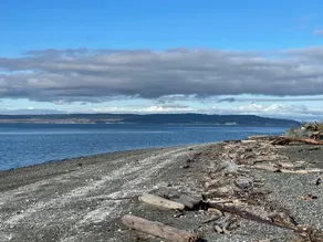Whidbey Beach Cabin - Image 5