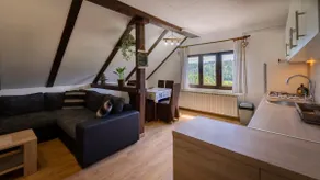 Malnar Apartment - CRNI LUG - GORSKI KOTAR - Image 3