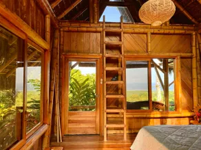 Cabin - amazing ocean and rainforest views - Image 3