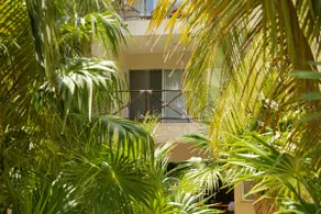 Apartment near the sea in Progreso Yucatan - Image 2