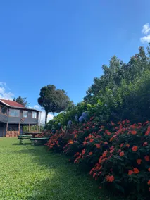 Guaviyú Cabin – Monteverde without filters - Image 4