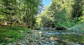 Entire Rustic Farmhouse minutes from Jay Peak - Image 5