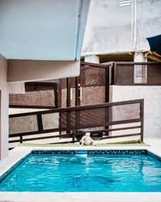 Casa Carey - 3BR house w/heated pool& home theater - Image 3
