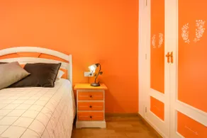 IRENE Apartments in the Aragonese Pyrenees - Image 4