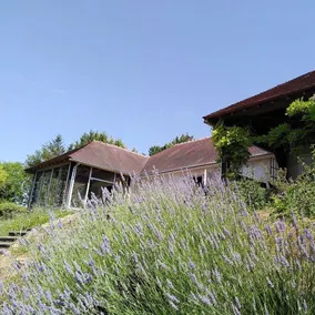 Beautiful house 10 to 15 people. South Touraine Park 1 ha - Image 2