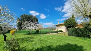 La Casa dell'Alloro - Image 4