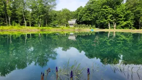 Torrey Forest House- quiet retreat, hiking trails. - Image 3