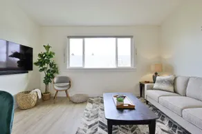 Modern Upstairs Loft - Newly Renovated! - Image 3