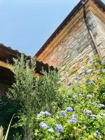 Frida Stone House - Image 3