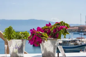 Spitakia ”Meltemi” - Image 4
