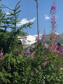 Champoudzo: charming and central in Champoluc. - Image 4