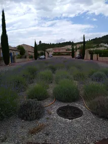 Beautiful Villa Romarin - Image 4