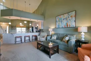 Glamping Table Rock-Branson-Penthouse w/Elevator - Image 5