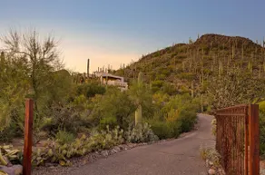 The Saguaro House - Image 3