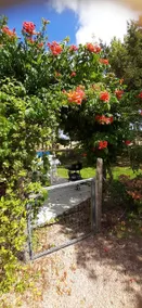 Air-conditioned house near Saint-Jean-de-Monts - garden - Image 2