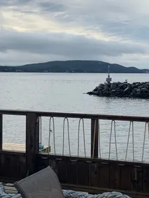 Kimmel Cottage Dildo - Image 2