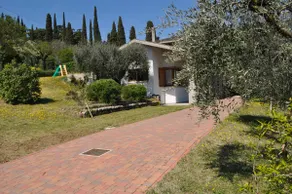 The house among olive trees - Image 3
