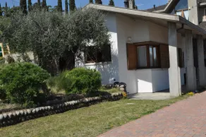 The house among olive trees - Image 2