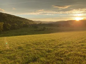 Peaceful & Serene 120 Acre Mountain Farm Retreat - Image 4