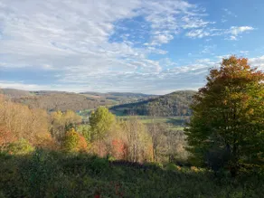 Peaceful & Serene 120 Acre Mountain Farm Retreat - Image 5