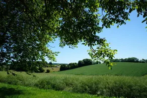 Charming house of the Domaine des Ecuries - Image 2